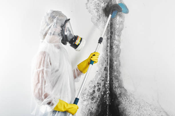 Best HVAC Mold Inspection and Cleaning  in Bedford, IN