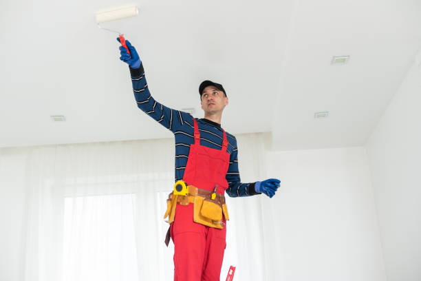 Best Basement Mold Removal  in Bedford, IN