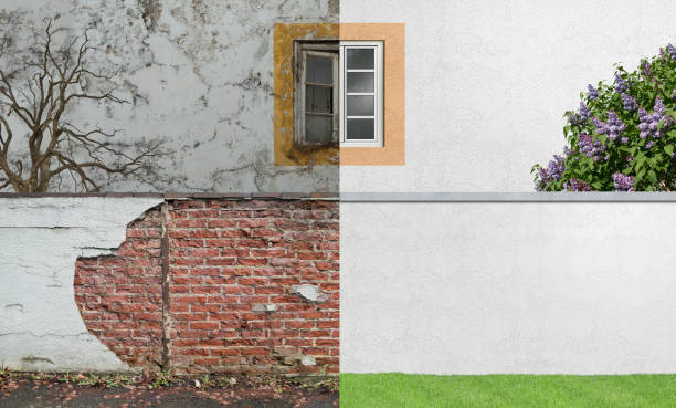 Bedford, IN Mold Removal Company
