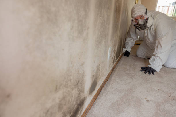 Best Asbestos and Lead Testing During Mold Inspection  in Bedford, IN
